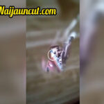 Neighbour Recorded On Camera Fucking Maid