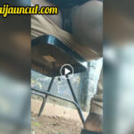 Upskirt African Girl Pussy at the Park