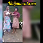 Boobs Out As 2 Ghana Girls Fight And Strip Each Other