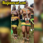 South African Ladies Big Fresh Boobs